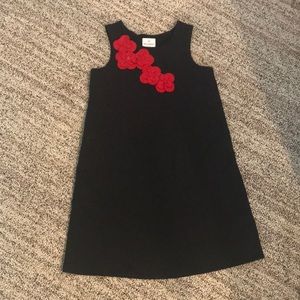 Hanna Anderson Dress